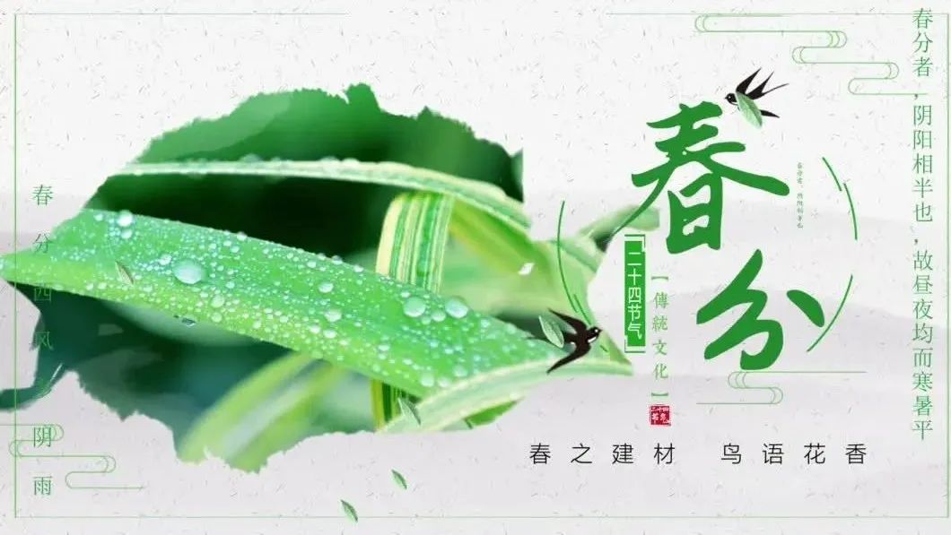 今日春分 | 春之建材，鸟语花香