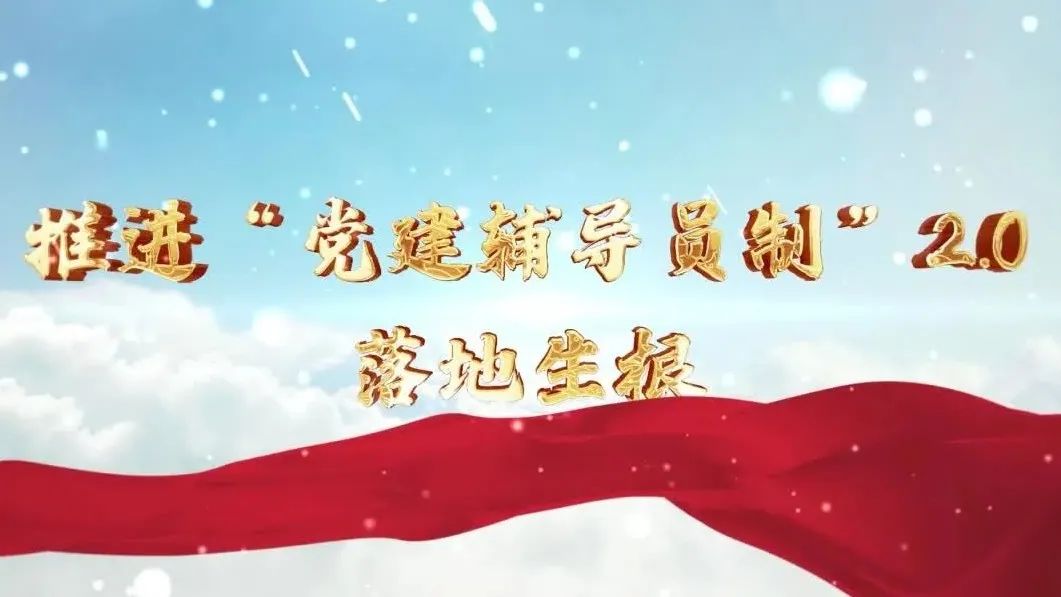  党建经营融合十佳案例④ | 西南水泥——“领导员造”+“进建型组织”，让党建成为看得见的“出产力” 
